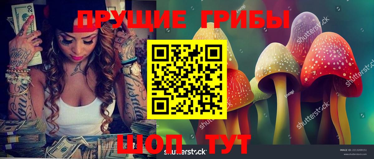 Псилоцибиновые грибы мухоморы  Вход с VPN  Георгиевск 